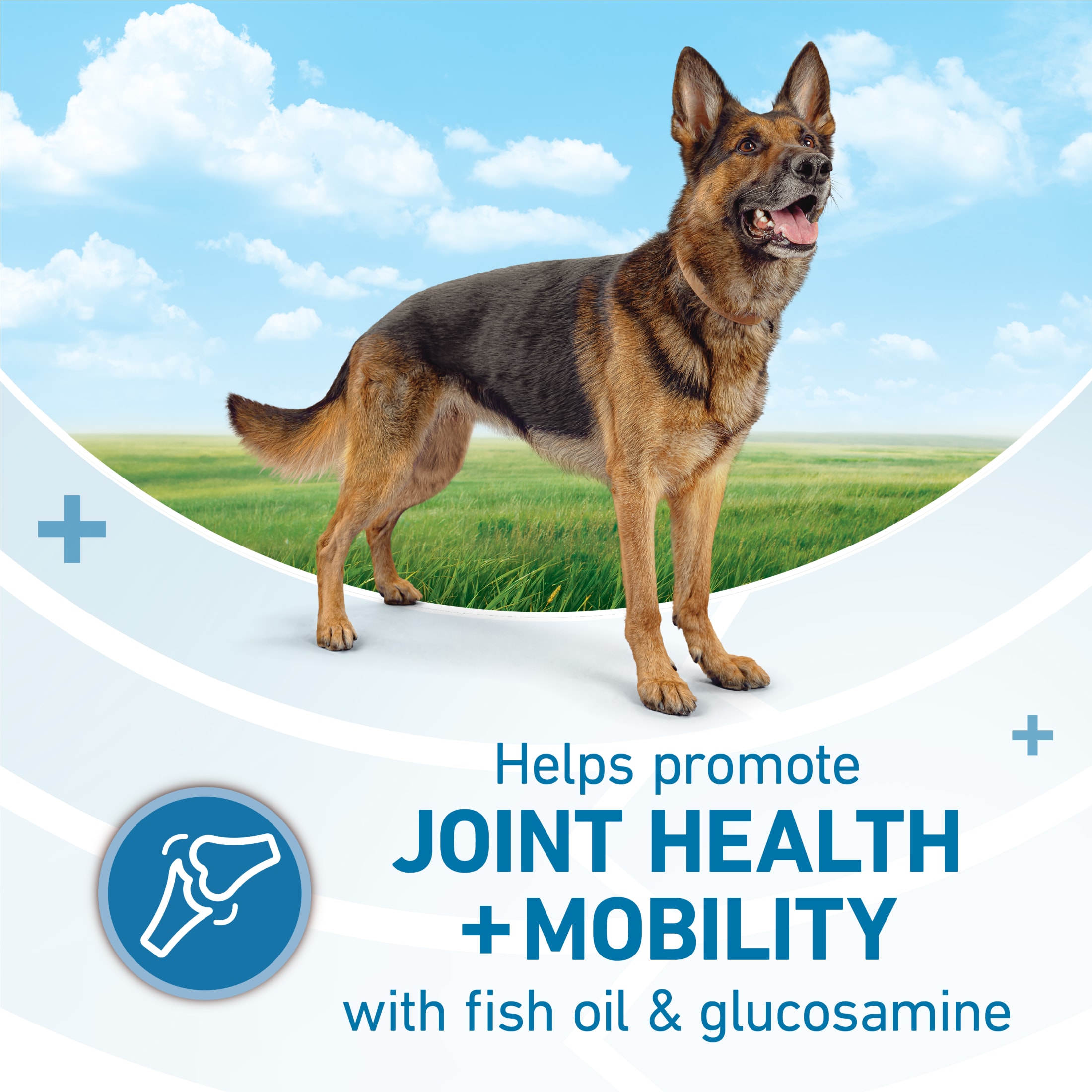 Purina ONE Plus Joint Health Dry Dog Food photo 4