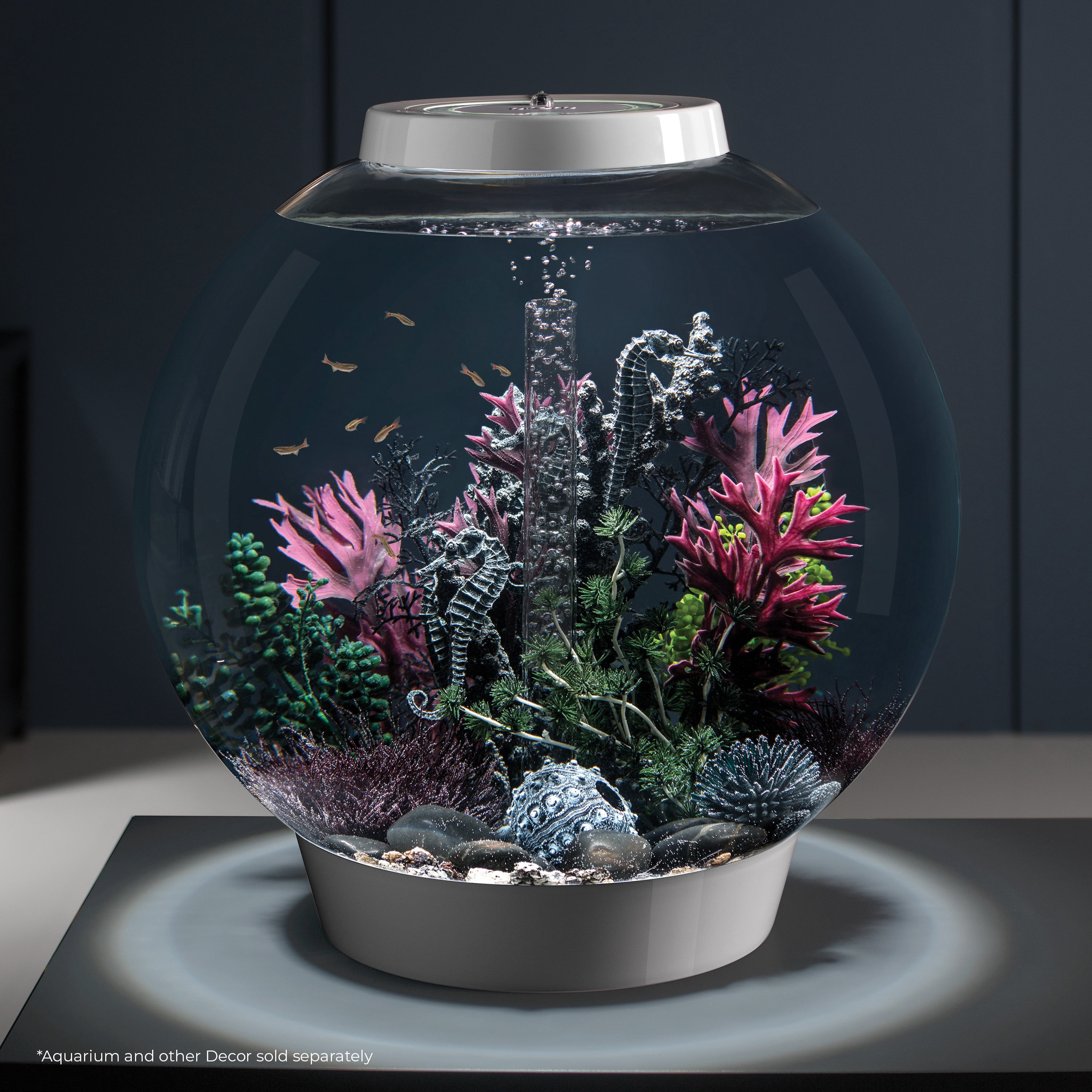 biOrb Medium Black Seahorse Sculpture - Aquarium Decor