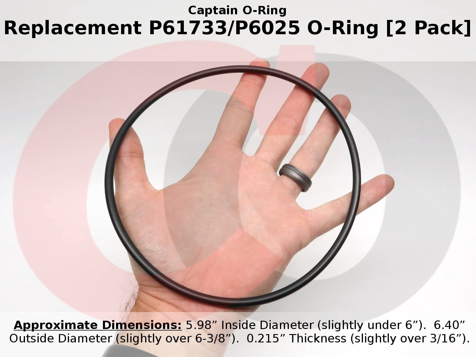 Captain O-Ring Replacement P61733/P6025 O-Rings for Bestway Flowclear Filter Pumps 2 Pack