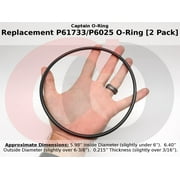 Captain O-Ring Replacement P61733/P6025 O-Rings for Bestway Flowclear Filter Pumps 2 Pack