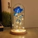 thumbnail image 1 of Regalos para mamá para el día de la madre, regalos de flores rosas para mujeres, regalos para el día de la madre, regalos para mamá de hija e hijo, rosa iluminada en una cúpula de, 1 of 5