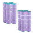 thumbnail image 1 of Hurricane 8 Pack HF7459-04P Platinum Purple Pool Filter Cartridge Replacement, 1 of 6
