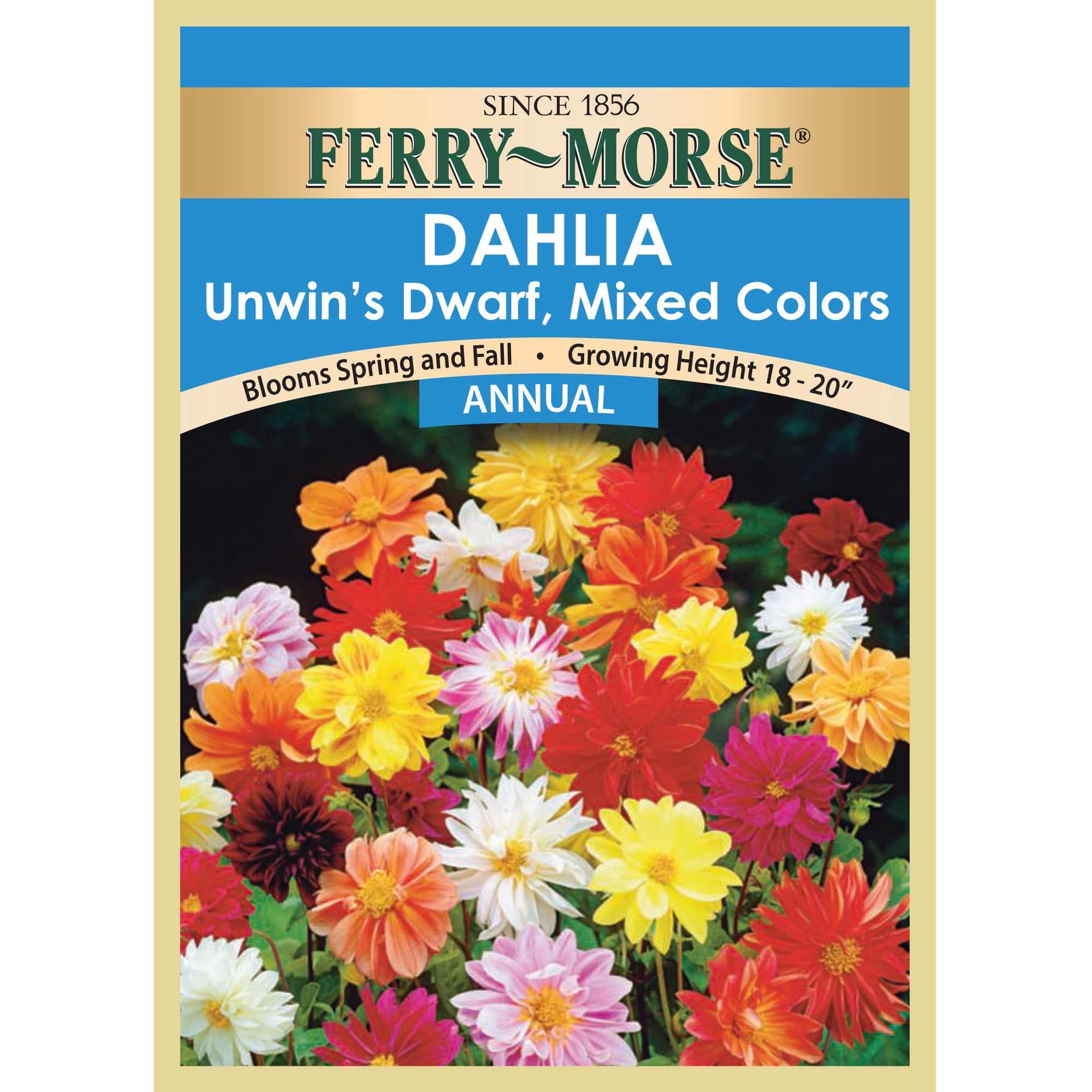 Ferry-Morse Dahlia Unwin's Dwarf Mixed Colors Plant Seeds (1 Pack) - Seed Gardening, Sun/Partial Shade