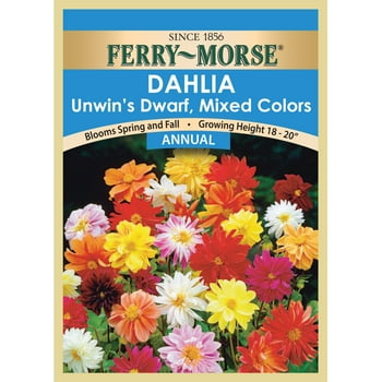 Ferry-Morse Dahlia Unwin's Dwarf Mixed Colors   (1 Pack) - Seed Gardening, Sun/Partial Shade