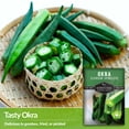 thumbnail image 4 of 3 Packs Clemson Spineless Okra Seeds - Non-GMO Heirloom Full Sun Annual Vegetable, 4 of 6