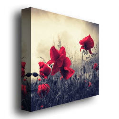 Trademark Art "Red For Love" Canvas Wall Art by Philippe Sainte-Laudy