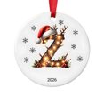 thumbnail image 2 of Fievgin Christmas Ornament 2026, Letter Z Initial Decoration with Santa Hat for Tree & Gift, 2 of 7