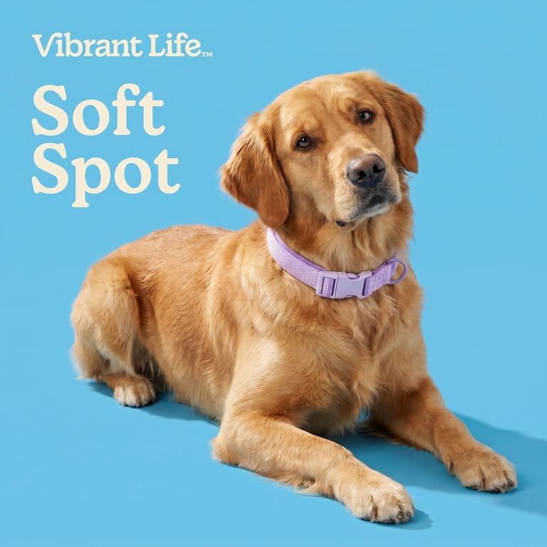 Vibrant Life Adjustable Dog Collar with Neoprene, Lilac photo 5