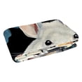 thumbnail image 2 of Chinchilla Soft and Warm Microfiber Throw Blanket, Printed Lightweight Throw Blanket for Sofa, Bed, Couch, Office, and Camping - Blankets & Throws, Throw Blanket, Throw Blankets, 2 of 6