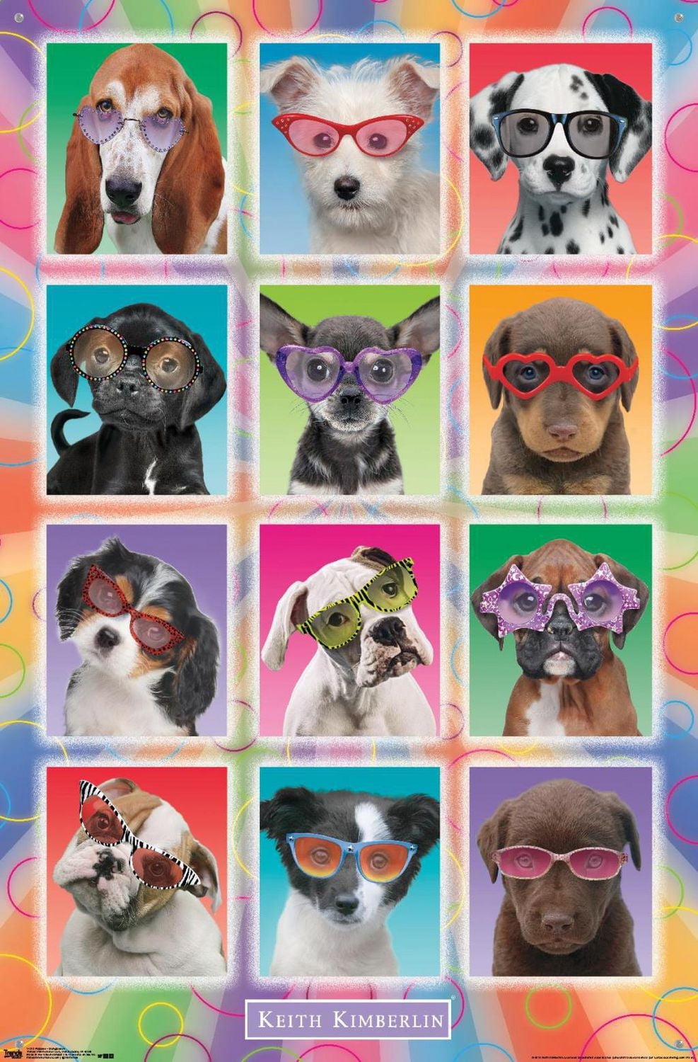 Keith Kimberlin - Puppies - Sunglasses Wall Poster