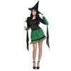 Wicked Witch Adult Halloween Costume