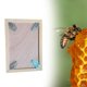 thumbnail image 1 of Tablero de apicultura Extractor de miel Suministros estables Caja nido Conveniente para cosechar miel Excluidor de abejas Equipo de apicultura 8 cuadros, 1 of 8