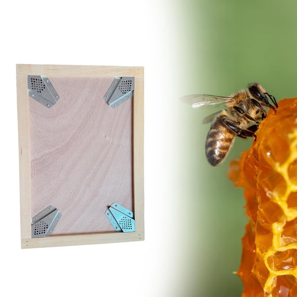 Tablero de apicultura Extractor de miel Suministros estables Caja nido Conveniente para cosechar miel Excluidor de abejas Equipo de apicultura 8 cuadros