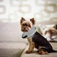 thumbnail image 4 of Collier de Protection pour Animaux de Compagnie Protection Gonflable pour Chiens Boucle Grise, 4 of 4