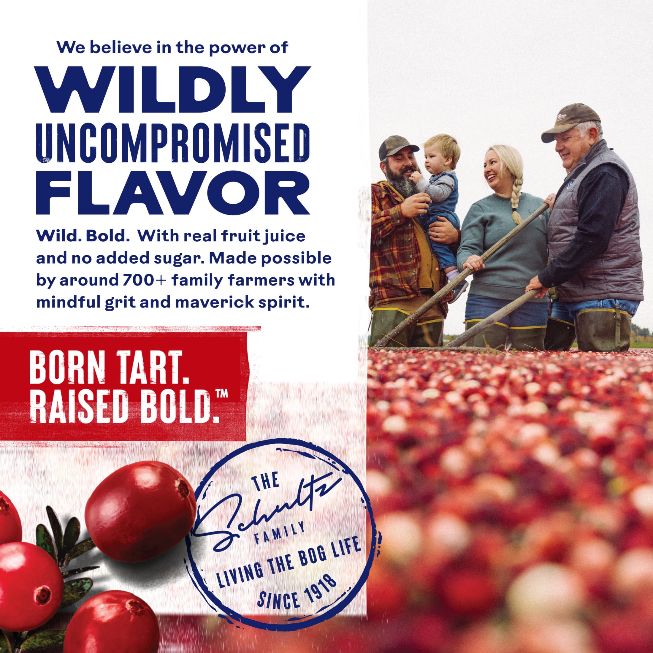 (8 pack) Ocean Spray® Diet Cran-Mango™ Cranberry Mango Juice Drink, 64 fl oz Bottle