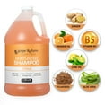 thumbnail image 2 of Ginger Lily Farms Club & Fitness Moisturizing Shampoo for All Hair Types, 100% Vegan & Cruelty-Free, Citrus Scent, 1 Gallon (128 fl oz) Refill, 2 of 6