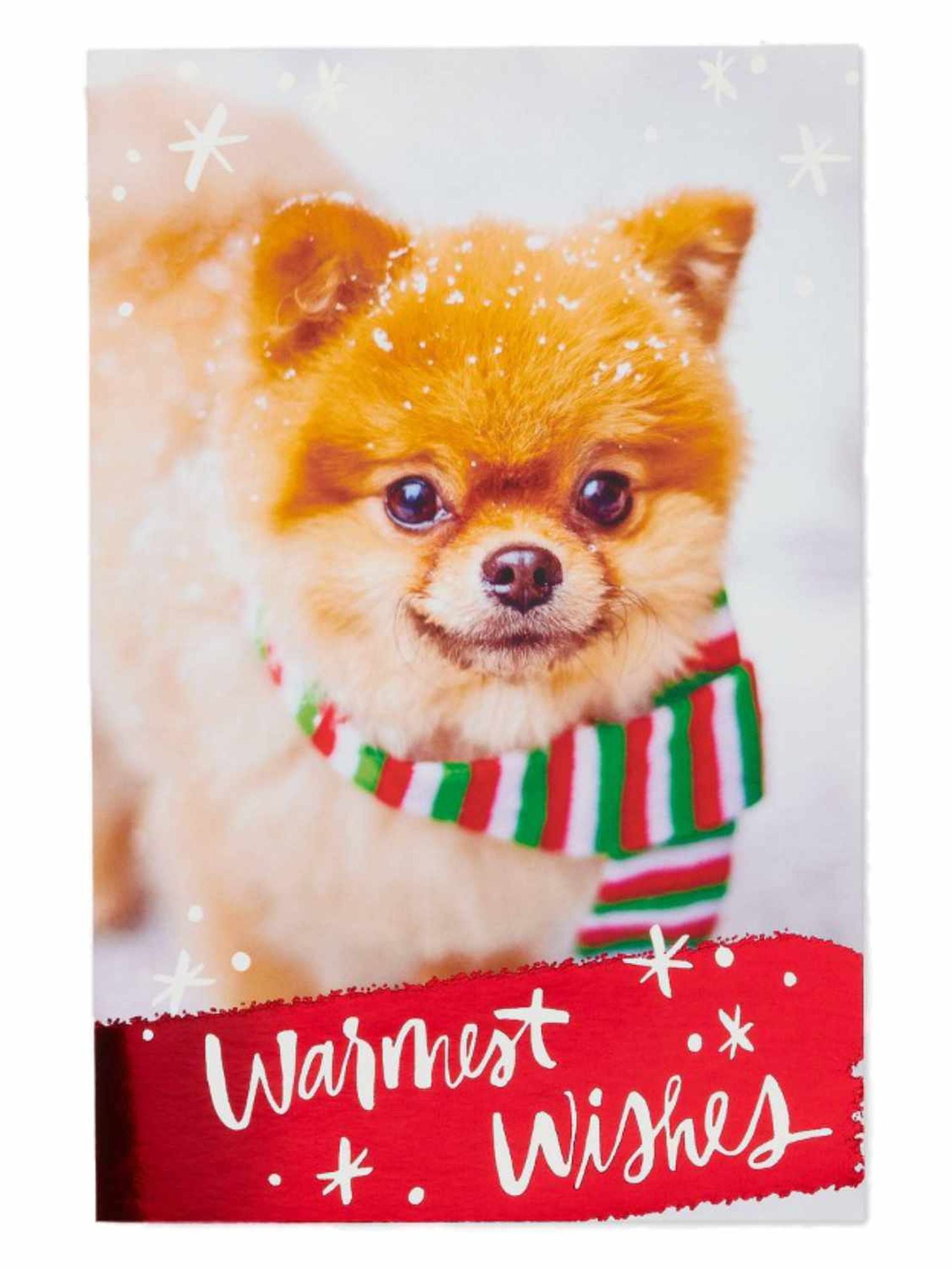 Warmest Wished Brown Pomeranian Dog Holiday Christmas Cards 