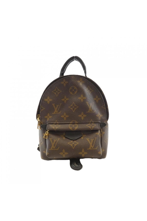 Pre-Owned Louis Vuitton Monogram Palm Springs Backpack Mini M44873