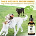 thumbnail image 3 of Allergy Immune With Elderberry and Vitamin C Anti Itch & Hot Spots for Dogs, Dog Itch Relief, Itch Relief Dogs, 3 of 4