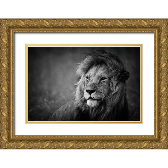 Alnaser, Mohammed 24x17 Gold Ornate Wood Framed with Double Matting Museum Art Print Titled - Regal