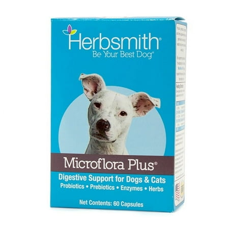 UPC: 0718122578191 | Herbsmith Microflora Plus – Dog Digestion Aid –Probiotics and Digestive Enzymes for Dogs – Prebiotic for Dogs – 60 Capsules