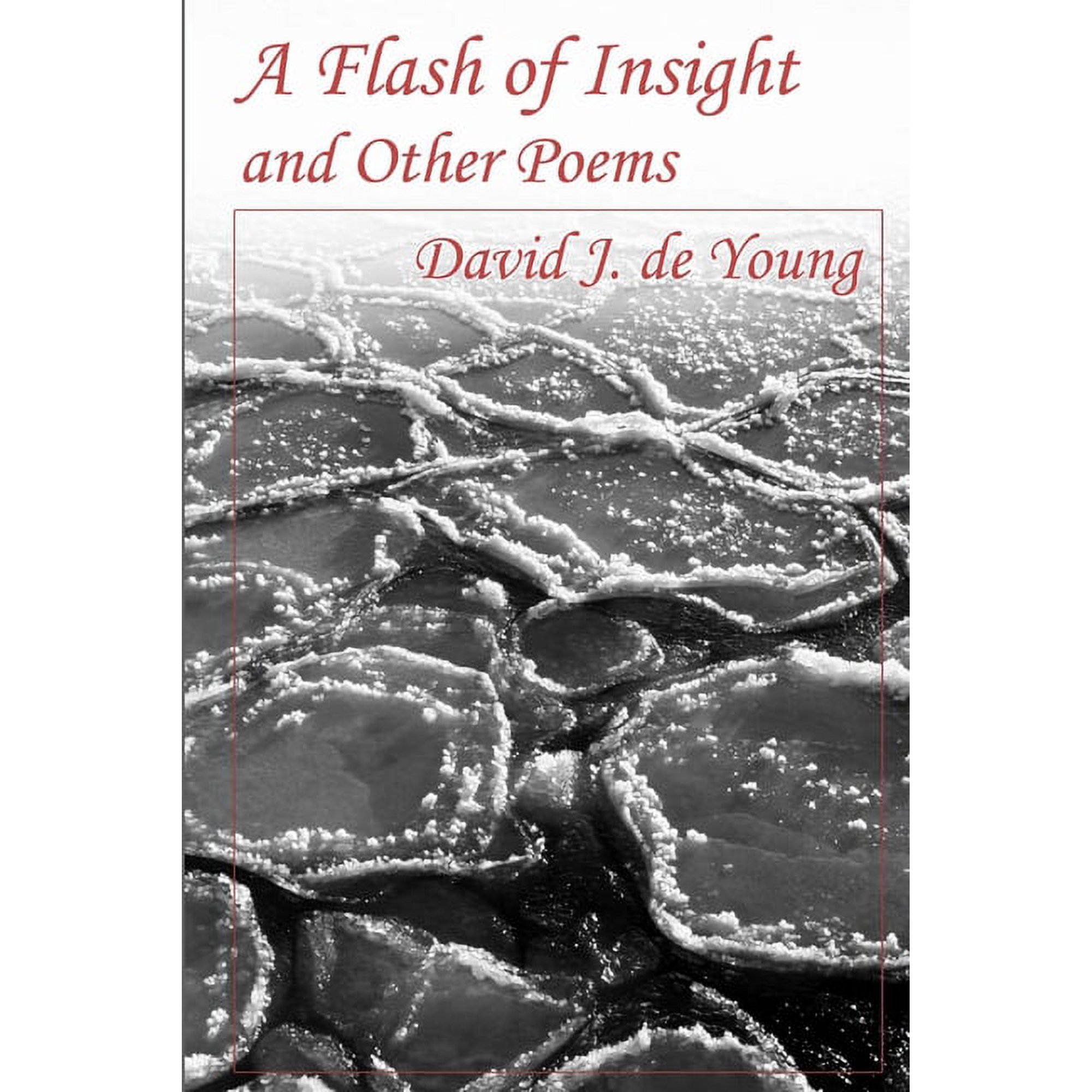 A Flash of Insight and Other Poems (Paperback)