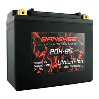 Powertex Batteries YTX14-BS Lithium Replacement for 2014 Suzuki