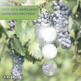 thumbnail image 3 of Juego de discos mejorados para ahuyentar pájaros, 21 discos grandes, reflectores de pájaros de doble cara altamente reflectantes, mejores dispositivos para ahuyentar pájaros para mantener al, 3 of 5