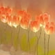 thumbnail image 4 of Marco de fotos Tulipán DIY Luz de noche Regalo Luz de noche (10 flores amarillas), 4 of 5