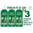 thumbnail image 1 of ÁRBOL DE TÉ 3X 1000 VIVONATURAL. 3 SHAMPOOS ÁRBOL DE TÉ 1000 ml., 1 of 5