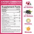 thumbnail image 2 of Paquete de 2 gomitas multivitamínicas ENVYCURE Daily Immunity Booster, 2 of 7