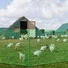 V Protek Plastic Poultry Netting - 6x30ft High Strength Poultry Fence, Chicken Net Fence for Flower Plants Support,Green