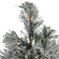 thumbnail image 3 of Northlight 4.5' Pre-Lit LED Black Spruce Artificial Christmas Tree - Clear Lights, 3 of 7