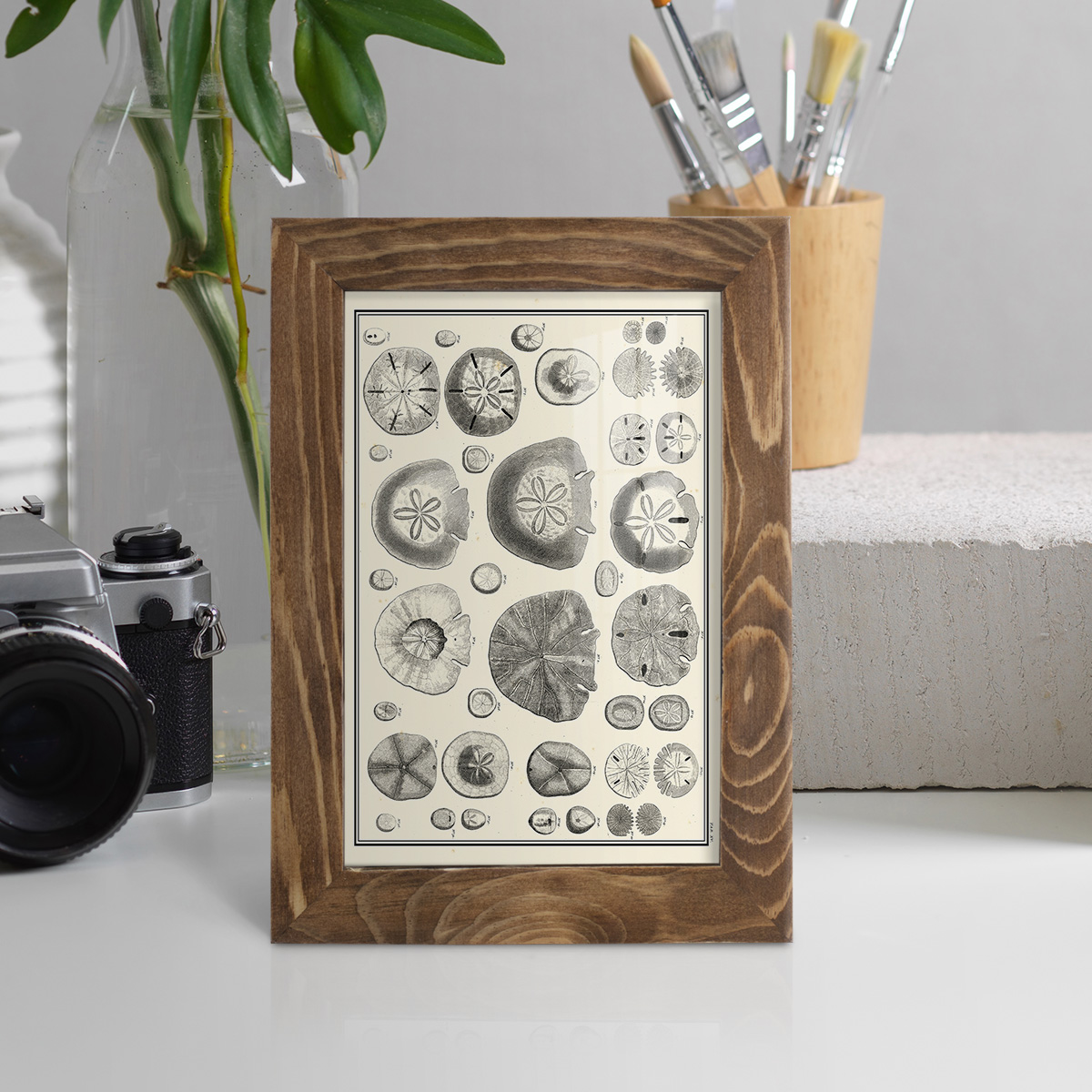 Aegean Collection II -Framed Print w/glass-Walnut