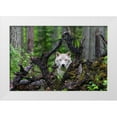 thumbnail image 1 of Centioli, Mike 18x13 White Modern Wood Framed Museum Art Print Titled - Wolf, 1 of 4
