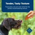 thumbnail image 6 of Blue Buffalo Nudges Jerky Cuts Dog Treats Made with Real Chicken & Duck, 10-oz. Bag, 6 of 10