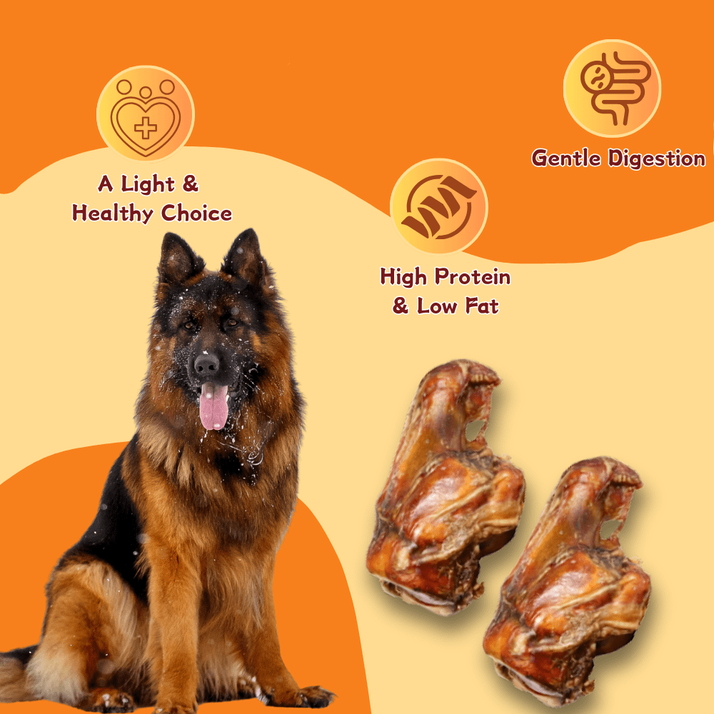 Tender Touch All-Natural Beef Knuckle Bones for Dogs, A Whole and Hearty Single Ingredient Chew for Dental Care and Entertainment, 6 Count