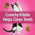 thumbnail image 4 of Purina Friskies Cat Treats, Party Mix California Crunch With Chicken, 4 of 11