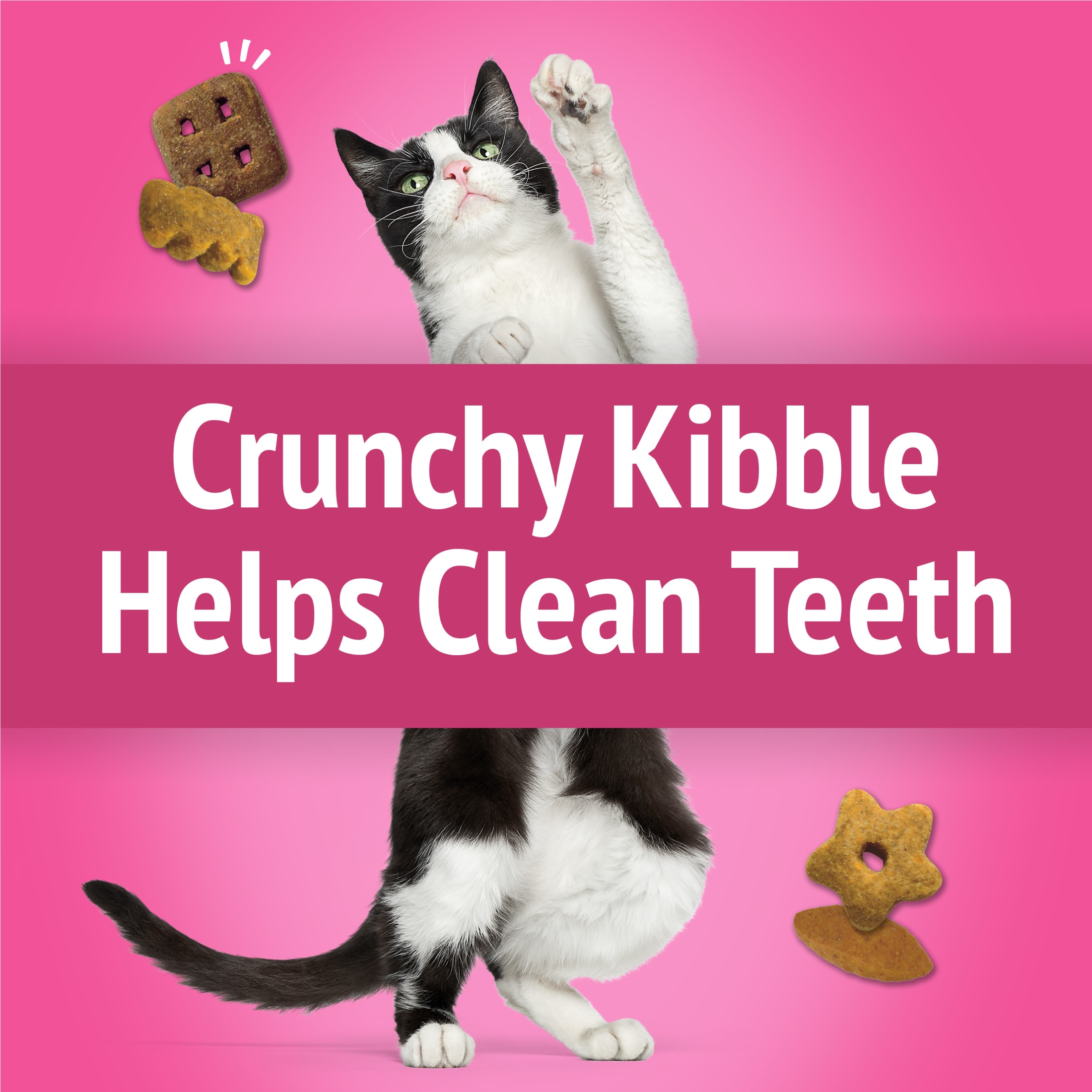 Friskies Party Mix California Crunch Cat Treats, 30 oz photo 4