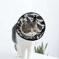 thumbnail image 1 of Icons Soft Cat Dog Recovery Collar Adjustable Cat Cone Wound Healing Protective After Surgery for Dog Cone Collars, 1 of 7