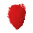 thumbnail image 2 of 1PC Vibrant Color Feathers 7.9"/9.8" for Wall Decor, Stage Props Party DIY Craft Decoration, Orange Feathers (36 Pieces Pack),Red 2, 2 of 7
