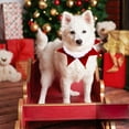 thumbnail image 3 of Festive Holiday Pet Neck Scarf Dress Up Accessory for Cats and Dogs with Adjustable Bib Design, 3 of 5
