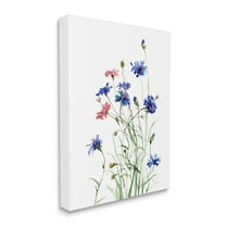 Stupell Industries Wild Cornflowers Spring Bloom Watercolor Blue Pink Botanical & Floral Painting Gallery Wrapped Canvas Print Wall Art, 36 x 48