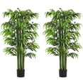 thumbnail image 1 of HOMCOM 5.3ft Artificial Tree Bamboo for Indoor Home Decor, Set of 2, Green, 1 of 10