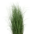 thumbnail image 2 of Vickerman 48" Artificial Potted Green Curled Grass., 2 of 5