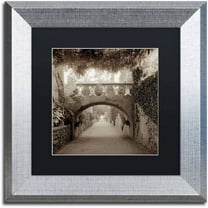 Trademark Fine Art "Giardini Italiano VI" Canvas Art by Alan Blaustein, Black Matte, Silver Frame