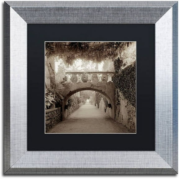 Trademark Fine Art "Giardini Italiano VI" Canvas Art by Alan Blaustein, Black Matte, Silver Frame