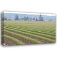 thumbnail image 1 of Dana Styber 18x13 Gallery Wrapped Canvas Wall Art Titled - Graceful Greens II, 1 of 4