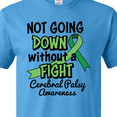 thumbnail image 4 of Inktastic Not Going Down Without a Fight Cerebral Palsy Awareness T-Shirt, 4 of 5