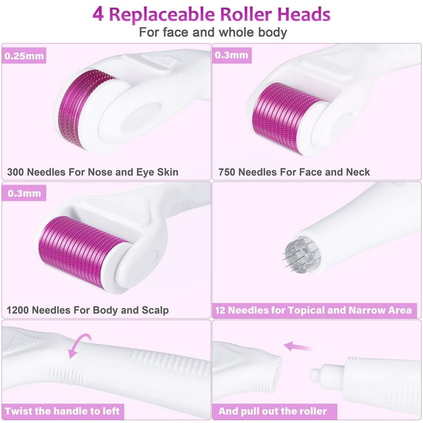 6 In 1 Derma Roller Kit 0.25mm 0.3mm Micro Needle Dermaroller for